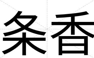 条香