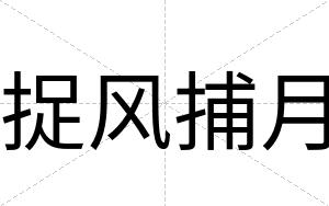 捉风捕月