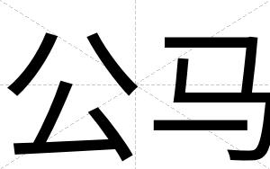 公马