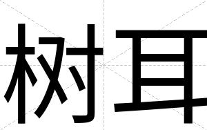 树耳
