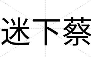 迷下蔡