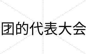 团的代表大会