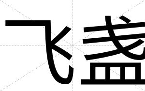 飞盏