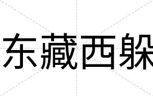东藏西躲
