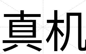 真机
