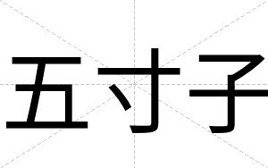 五寸子
