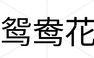 鸳鸯花