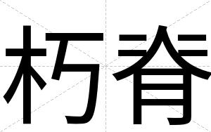 朽脊