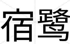 宿鹭