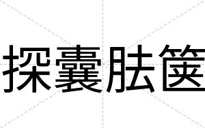 探囊胠箧