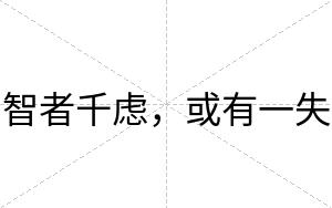 智者千虑，或有一失