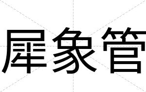 犀象管
