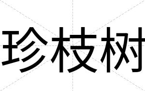 珍枝树