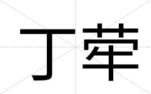 丁荦