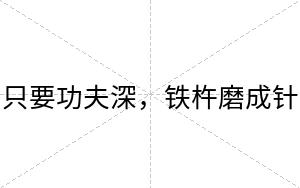 只要功夫深，铁杵磨成针