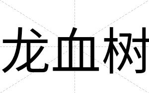 龙血树