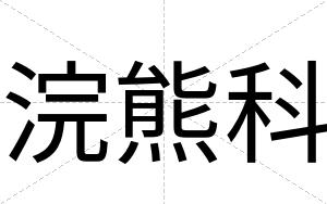 浣熊科