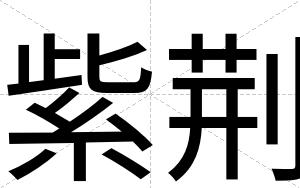 紫荆