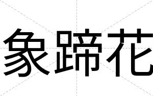 象蹄花