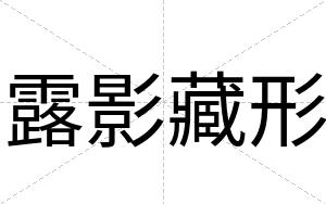 露影藏形