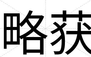 略获