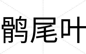 鹘尾叶