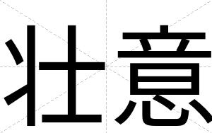 壮意