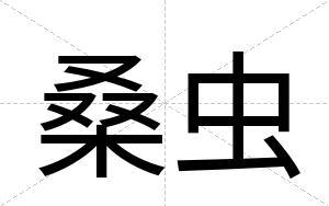 桑虫