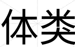 体类