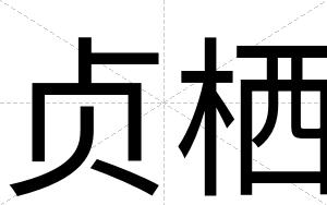 贞栖