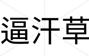 逼汗草