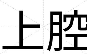 上腔