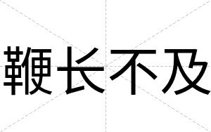 鞭长不及