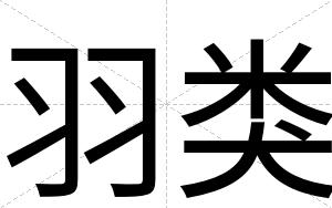 羽类