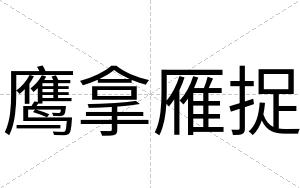 鹰拿雁捉