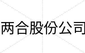 两合股份公司
