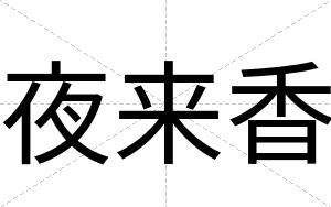 夜来香