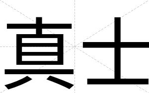 真士