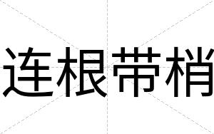 连根带梢