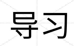 导习