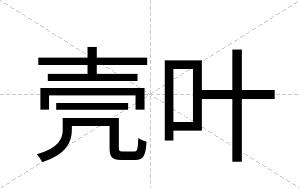 壳叶