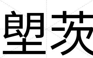 塱茨
