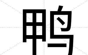 鸭