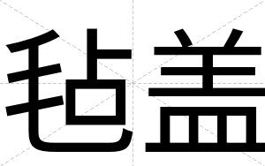 毡盖