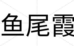 鱼尾霞