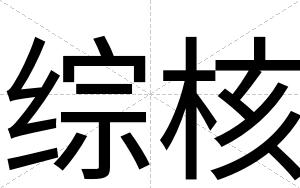 综核