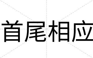 首尾相应