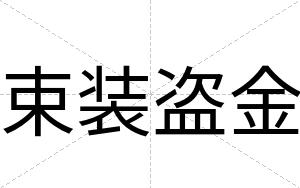 束装盗金