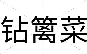 钻篱菜