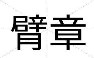 臂章